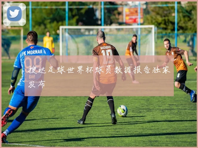 搜达足球世界杯球员数据报告独家发布