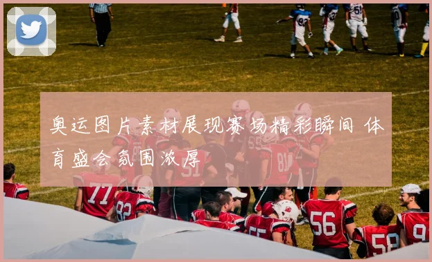 奥运图片素材展现赛场精彩瞬间 体育盛会氛围浓厚