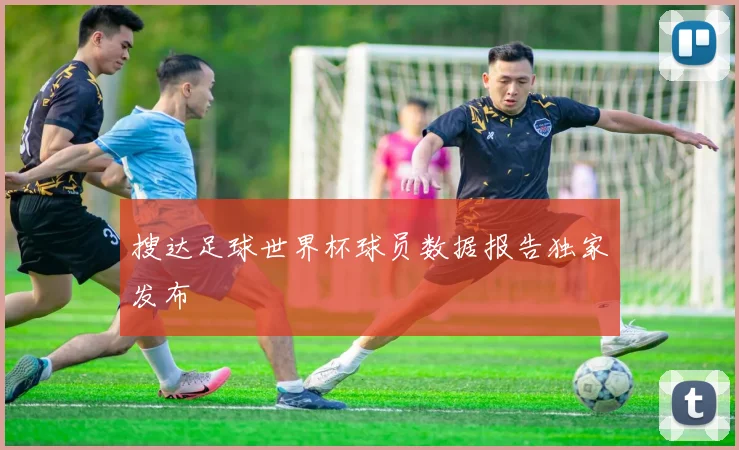 搜达足球世界杯球员数据报告独家发布